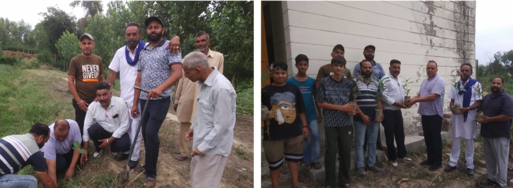 पेड़ों की कमी से पर्यावरण में असंतुलन पैदा होता है-तलवाड़